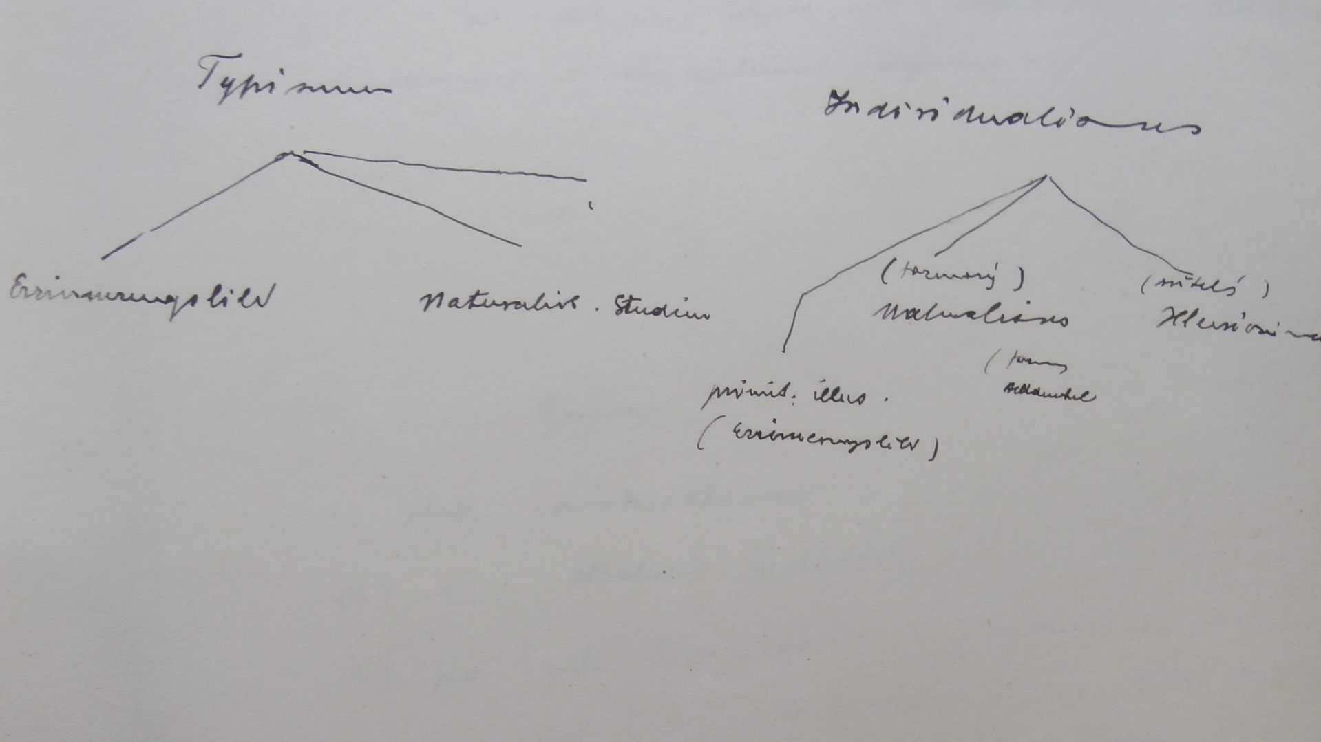 The Influence of the Vienna School of Art History III: Origins, Modifications and Influences of Its Theoretical Concepts